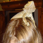 tommy turns 7 & soccer 013